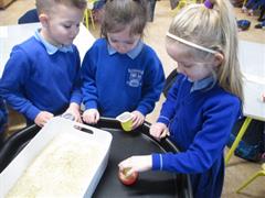 Learning About Capacity