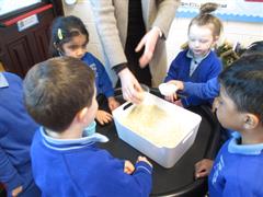 Learning About Capacity