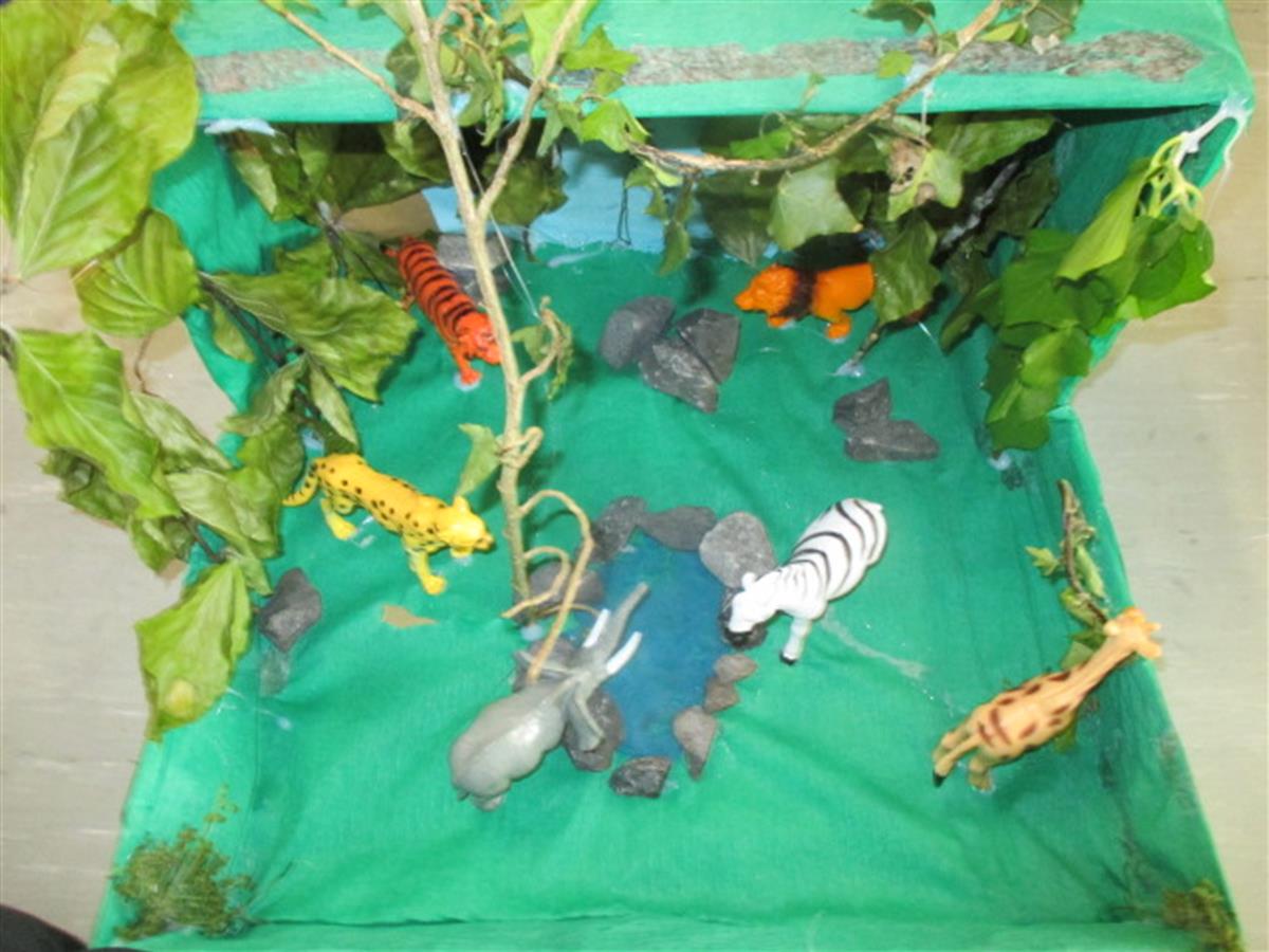 STEAM Animal Habitats