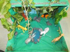 STEAM Animal Habitats