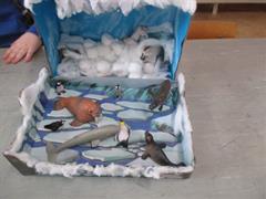 STEAM Animal Habitats