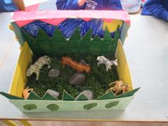 STEAM Animal Habitats