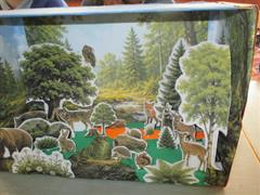 STEAM Animal Habitats