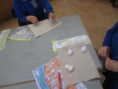 Water Cycle and Seeds