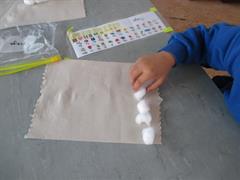 Water Cycle and Seeds