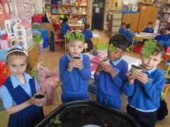 Planting Ash Trees