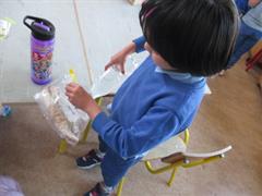Water Cycle and Seeds