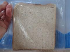 Mouldy Bread