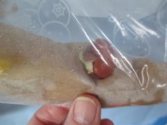Water Cycle and Seeds