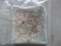 Mouldy Bread