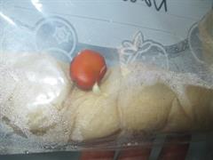 Water Cycle and Seeds