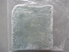 Mouldy Bread
