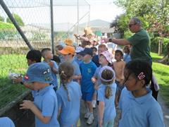 School Tour to Turoe Pet Farm