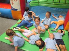 School Tour to Turoe Pet Farm