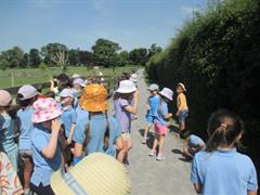 School Tour to Turoe Pet Farm