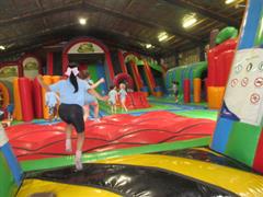 School Tour to Turoe Pet Farm