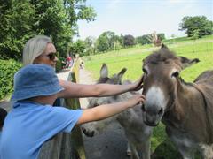 School Tour to Turoe Pet Farm