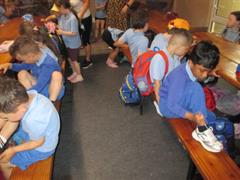 School Tour to Turoe Pet Farm