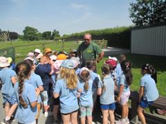 School Tour to Turoe Pet Farm