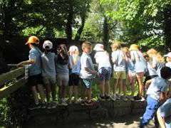 School Tour to Turoe Pet Farm