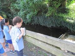 School Tour to Turoe Pet Farm