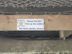 School Tour to Turoe Pet Farm
