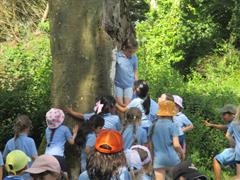 School Tour to Turoe Pet Farm