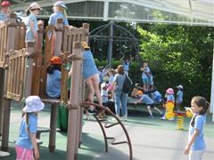 School Tour to Turoe Pet Farm