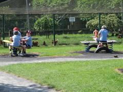 School Tour to Turoe Pet Farm
