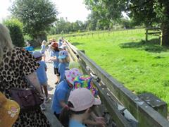 School Tour to Turoe Pet Farm