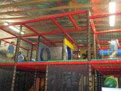 School Tour to Turoe Pet Farm