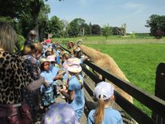 School Tour to Turoe Pet Farm