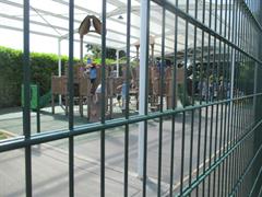 School Tour to Turoe Pet Farm
