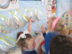 Water Cycle and Seeds