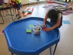 Summer Programme