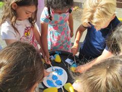 Summer Programme