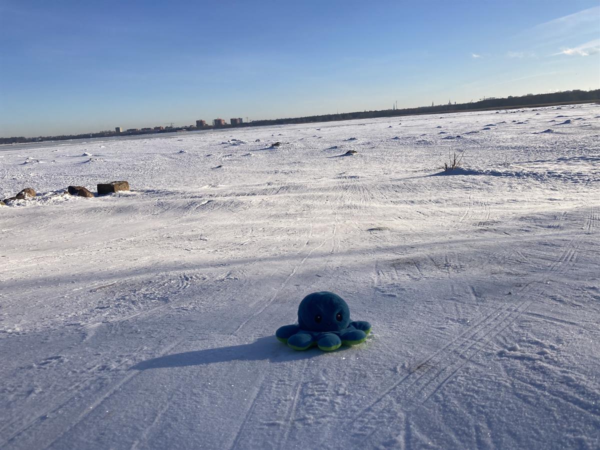Ochto travels to Tallinn, Estonia!
