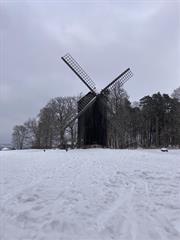Ochto travels to Tallinn, Estonia!