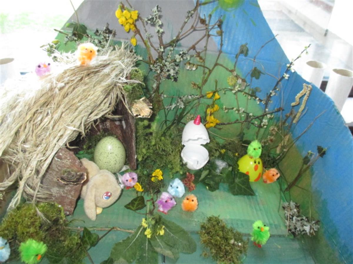 Our Spring Farm Boxes