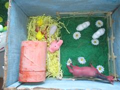 Our Spring Farm Boxes