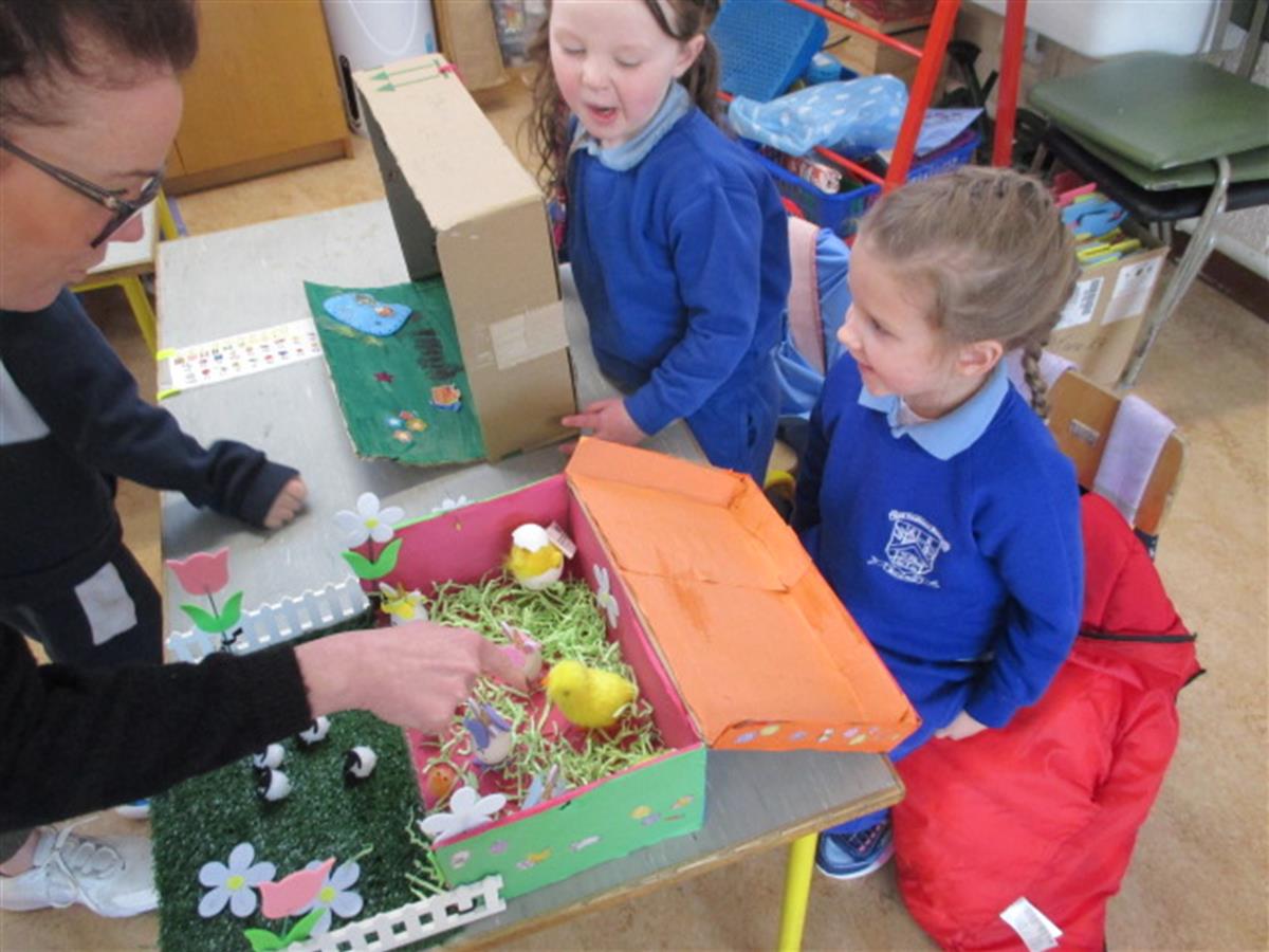 Farm and Easter Boxes Open Day