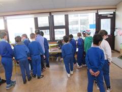 Farm and Easter Boxes Open Day