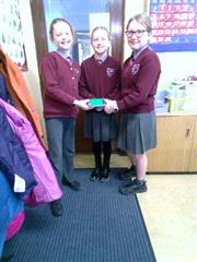 STEPS Engineering Project