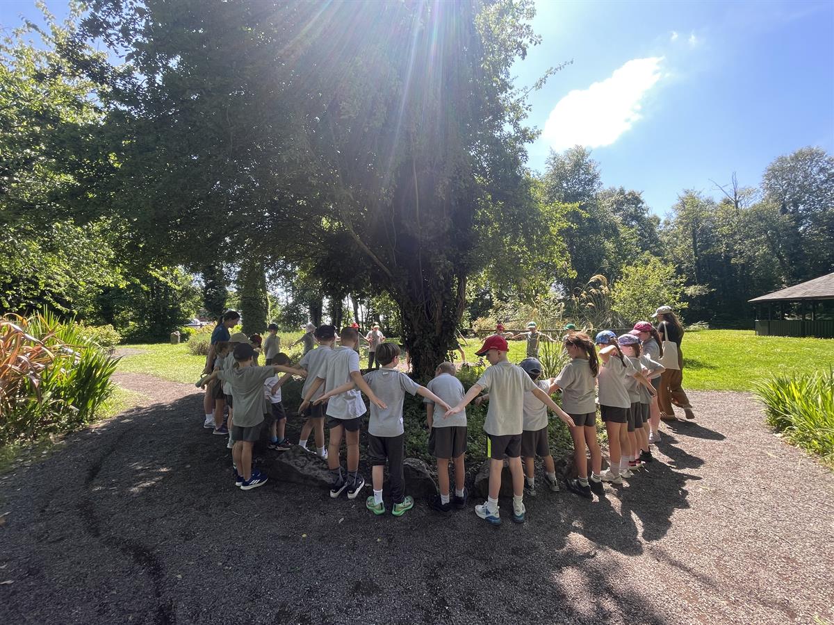 School Tour Fun at Lullymore Heritage & Discovery Park!