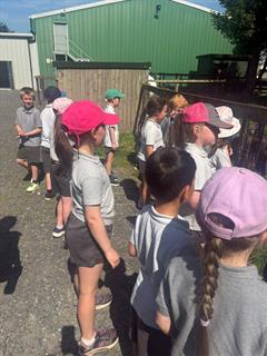 School Tour Fun at Lullymore Heritage & Discovery Park!