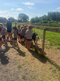 School Tour Fun at Lullymore Heritage & Discovery Park!