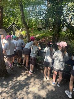 School Tour Fun at Lullymore Heritage & Discovery Park!