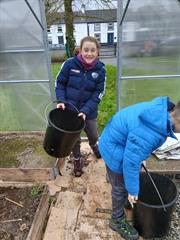 Rocking the Greenhouse