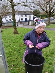 Rocking the Greenhouse