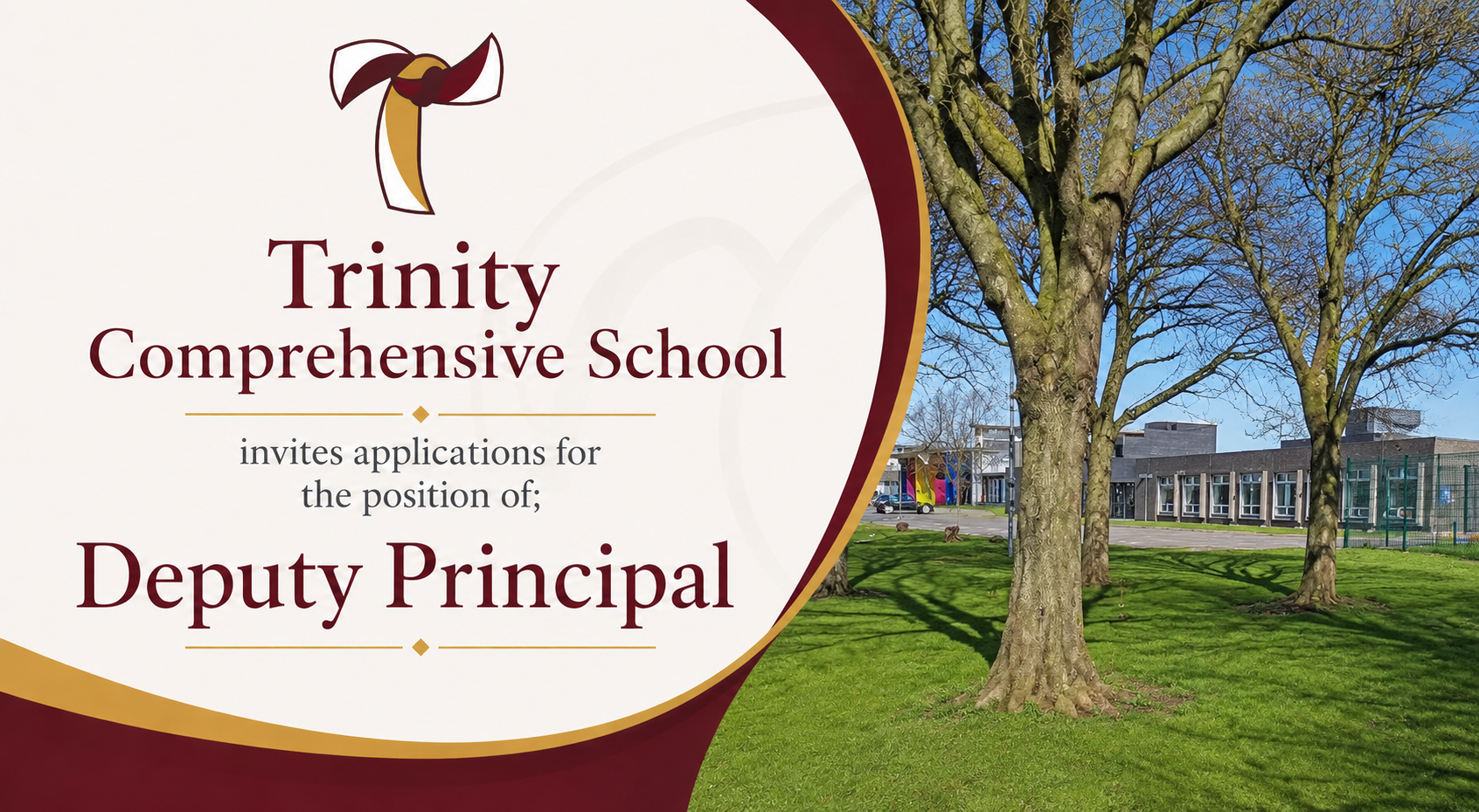 trinity comp.png
